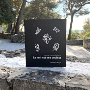 Catalogue "LE NOIR EST UNE COULEUR"