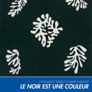 AFFICHE "MATISSE"