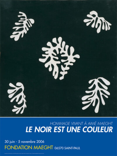 AFFICHE "MATISSE"